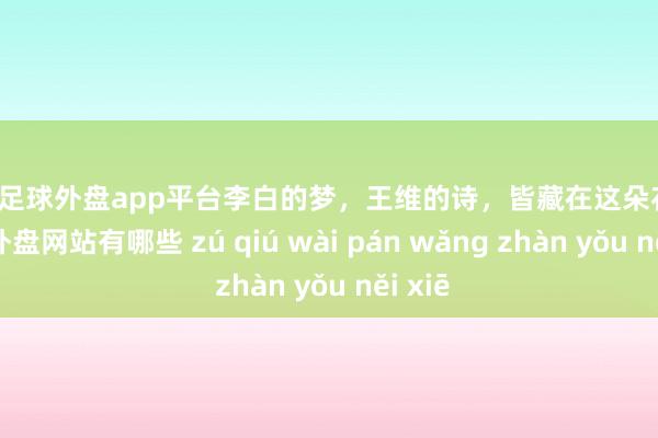 現金足球外盤app平臺李白的夢，王維的詩，皆藏在這朵花里-足球外盤網站有哪些 zú qiú wài pán wǎng zhàn yǒu něi xiē